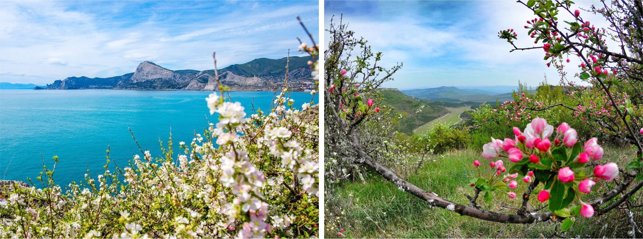 Снять домик в Крыму у моря | Снять домик в Евпатории Дом Роз